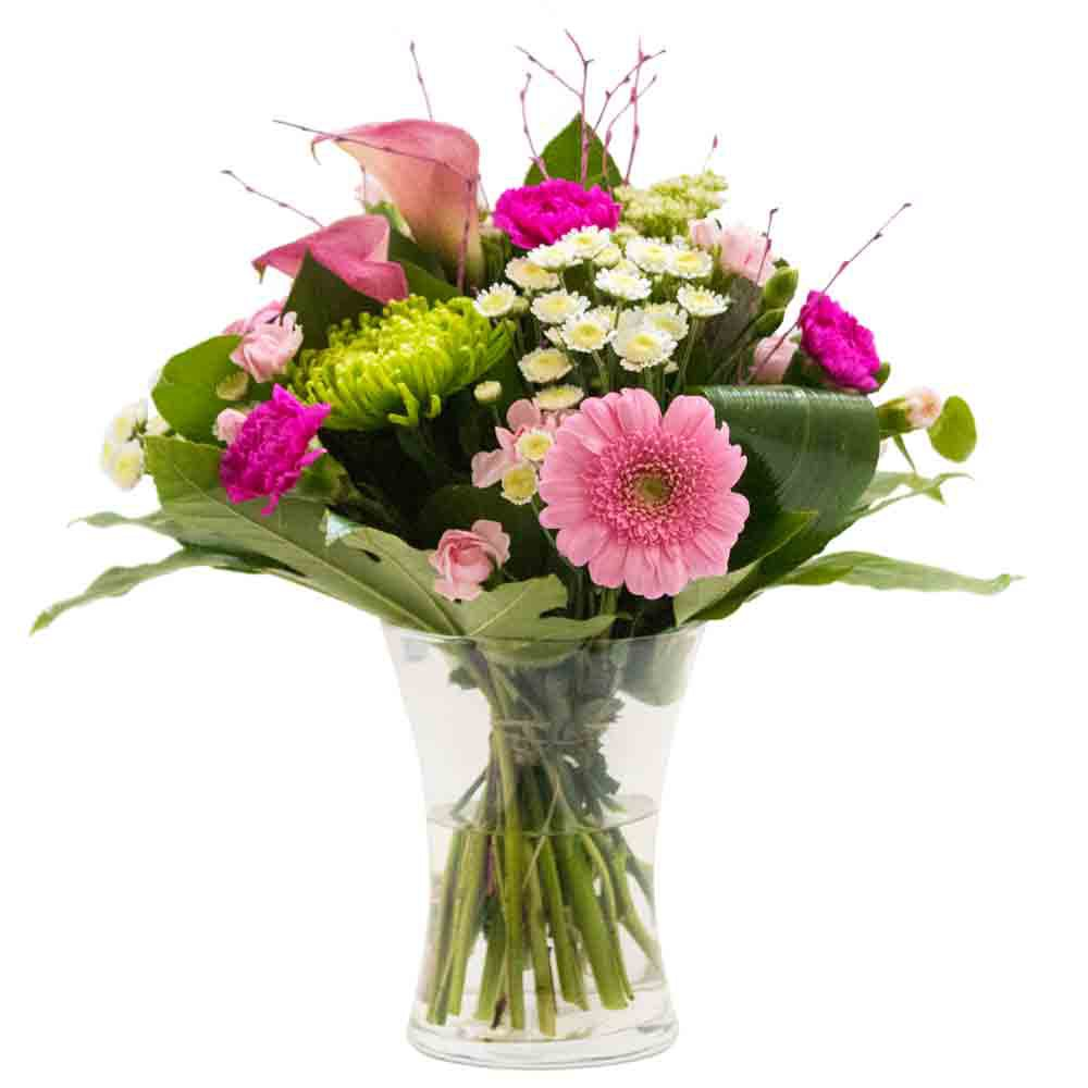 Bring A Smile Product Image