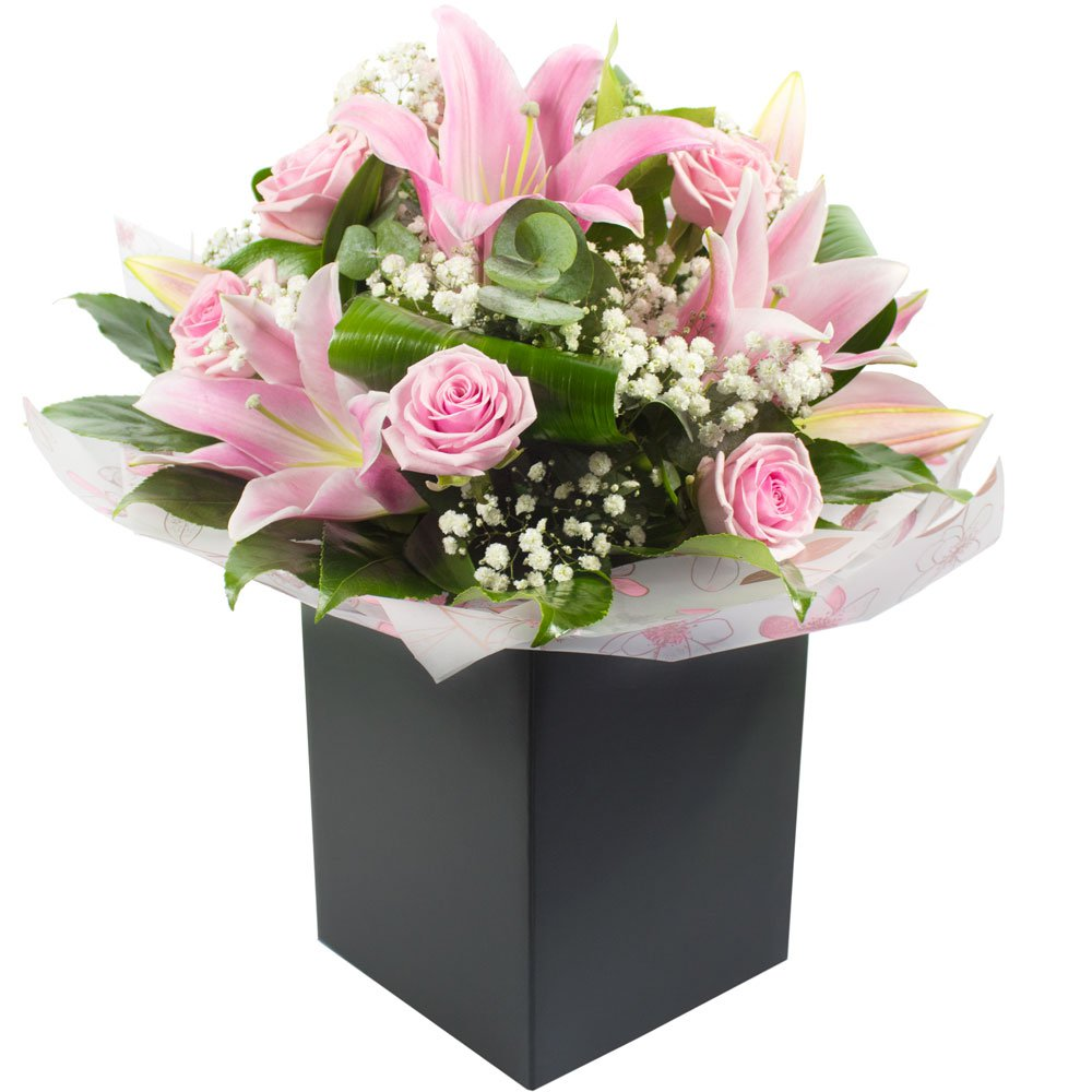 Sylvie Product Image