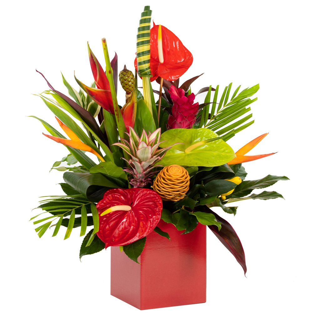 Tropical Passion Product Image