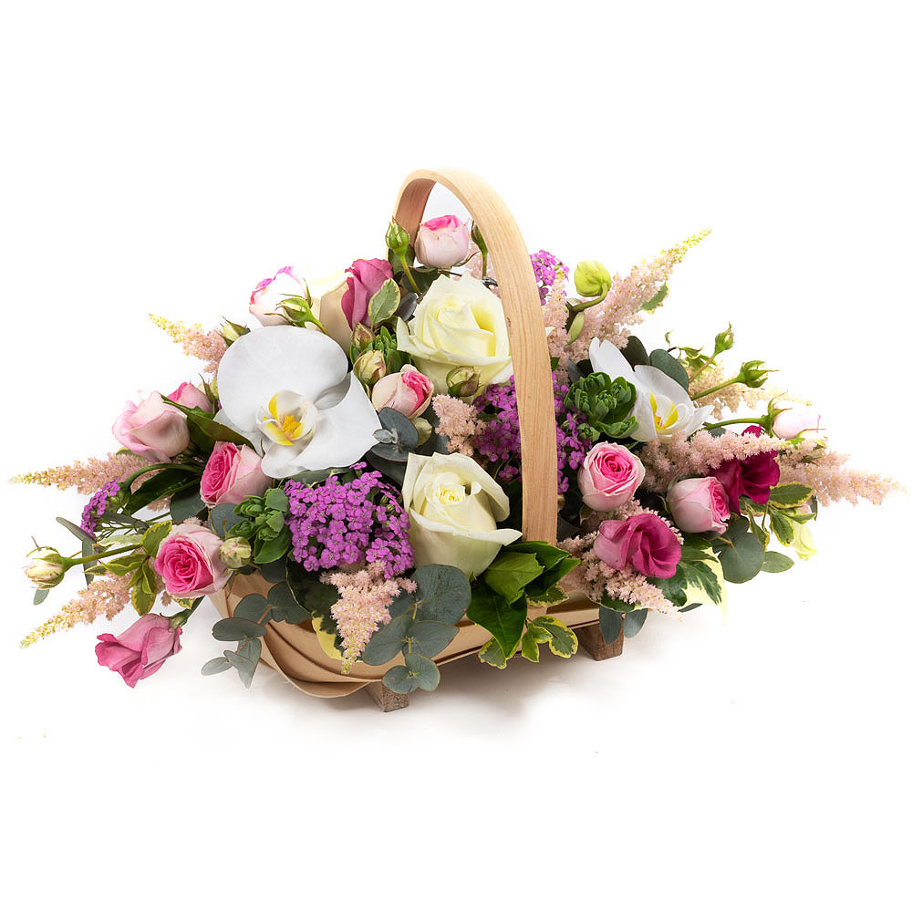 Graceful Beauty Product Image