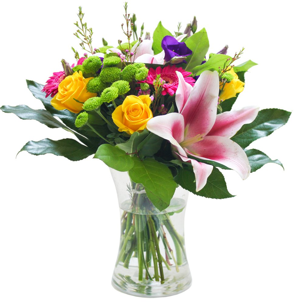 An Elegant Vase Product Image