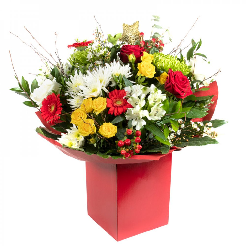 Red Forest Product Image
